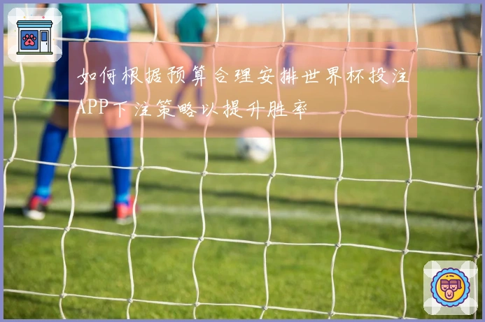 如何根据预算合理安排世界杯投注APP下注策略以提升胜率