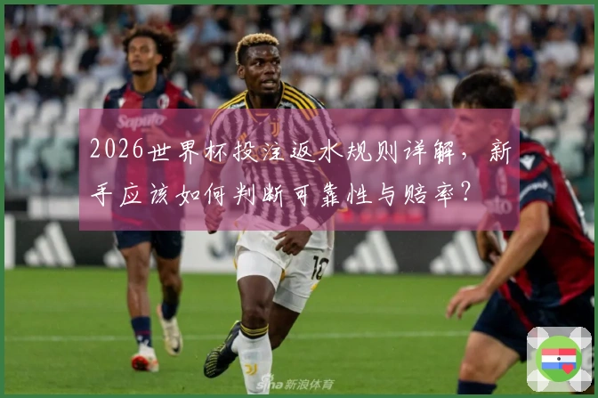 2026世界杯投注返水规则详解，新手应该如何判断可靠性与赔率？