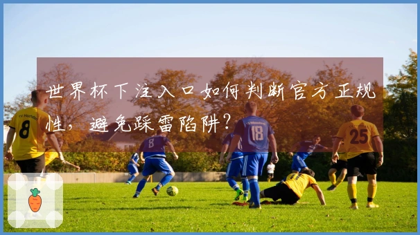 世界杯下注入口如何判断官方正规性，避免踩雷陷阱？