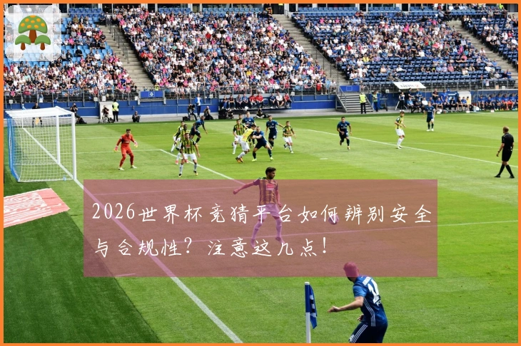2026世界杯竞猜平台如何辨别安全与合规性？注意这几点！