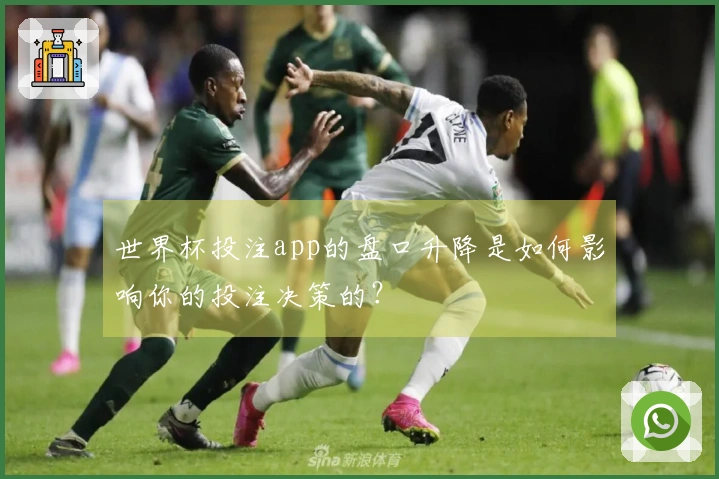 世界杯投注app的盘口升降是如何影响你的投注决策的？